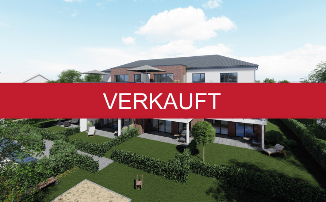 1 919 202248231SpS111 0 v3